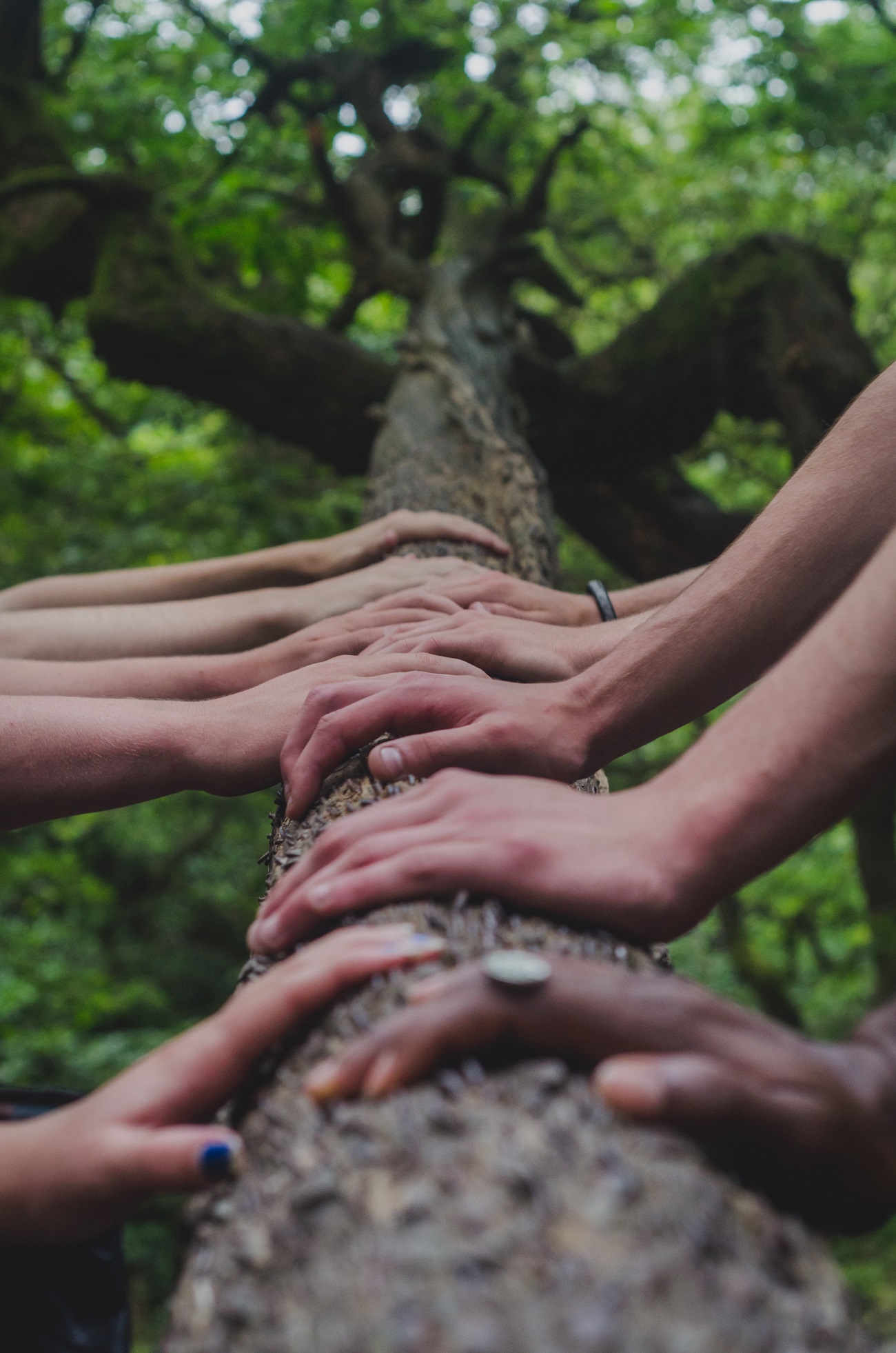 Read more about the article What are the types of corporate social responsibility?
